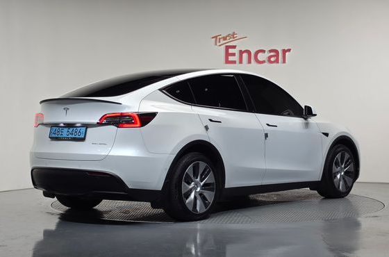 Tesla Model Y Long Range AWD — пробег 61 594 км — фото 2 из 5
