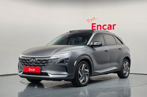 Hyundai Nexo Premium — пробег 240 810 км — фото 1 из 5