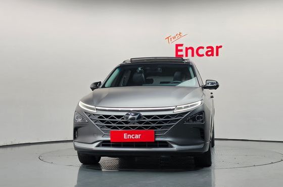 Hyundai Nexo Premium — пробег 240 810 км — фото 3 из 5