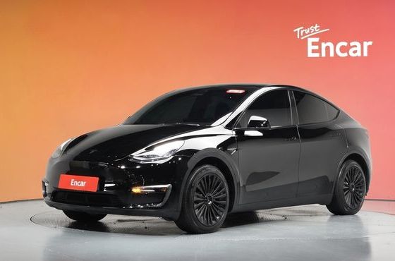 Tesla Model Y Long Range AWD — пробег 72 384 км — фото 1 из 5