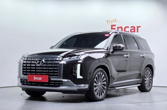 Hyundai Palisade Gasoline 3.8 4WD Calligraphy — пробег 30 291 км — фото 1 из 5