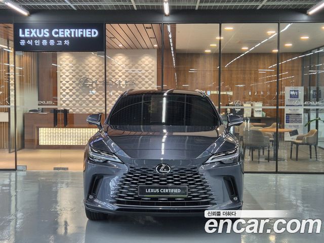 Lexus RX Luxury — пробег 7 381 км — фото 3 из 5