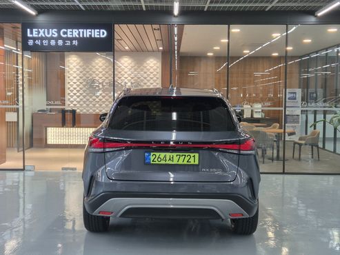 Lexus RX Luxury — пробег 7 381 км — фото 4 из 5