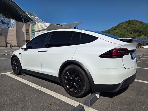 Tesla Model X AWD — пробег 65 500 км — фото 2 из 5
