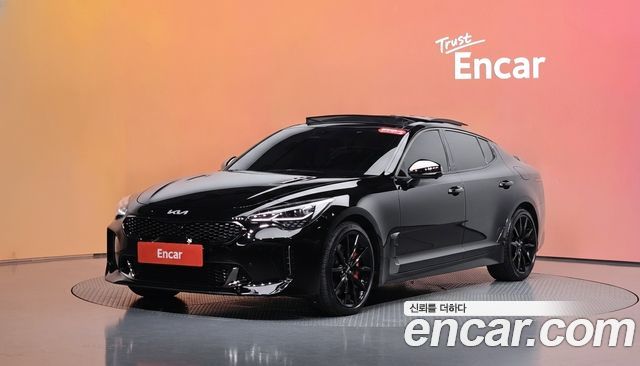 Kia Stinger 2.5 AWD Masters — пробег 80 250 км — фото 1 из 5
