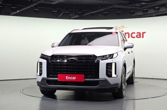 Hyundai Palisade Diesel 2.2 2WD Prestige — пробег 155 175 км — фото 3 из 5