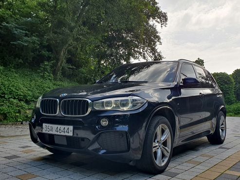 BMW X5 xDrive 30d M Sport package — пробег 274 215 км — фото 1 из 5