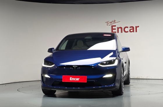 Tesla Model X Long Range — пробег 39 049 км — фото 3 из 5