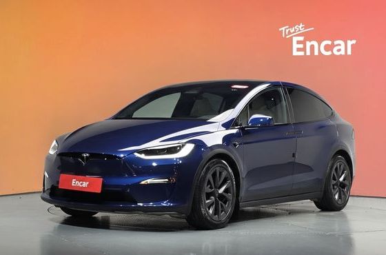 Tesla Model X Long Range — пробег 39 049 км — фото 1 из 5