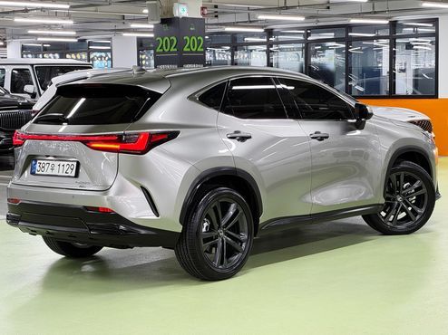Lexus NX Premium — пробег 2 926 км — фото 2 из 5