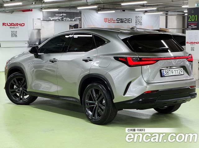 Lexus NX Premium — пробег 2 926 км — фото 3 из 5