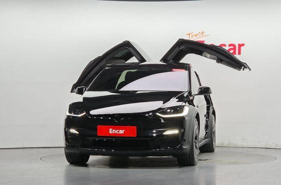 Tesla Model X AWD — пробег 6 194 км — фото 3 из 5