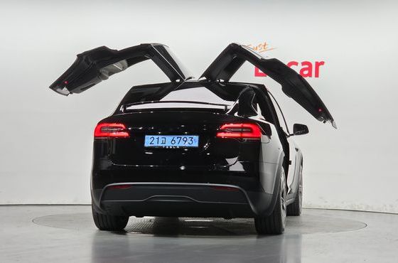 Tesla Model X AWD — пробег 6 194 км — фото 4 из 5