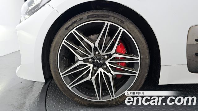 Kia Stinger 2.5 AWD Masters — пробег 58 120 км — фото 5 из 5