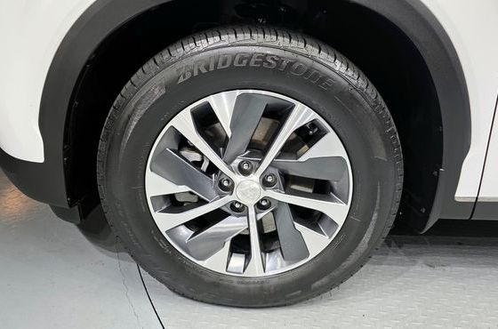 Hyundai Palisade Diesel 2.2 2WD Exclusive — пробег 38 415 км — фото 5 из 5