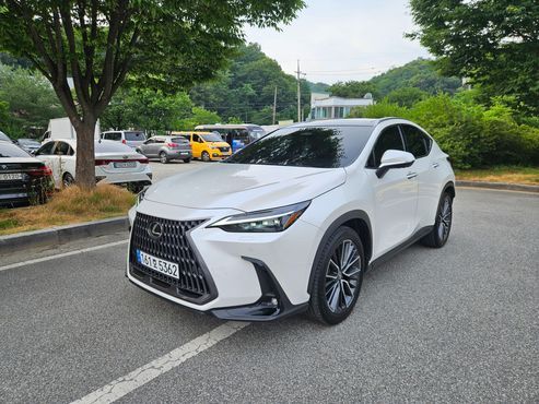 Lexus NX Luxury — пробег 18 462 км — фото 1 из 5