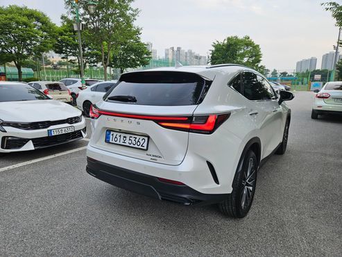 Lexus NX Luxury — пробег 18 462 км — фото 3 из 5