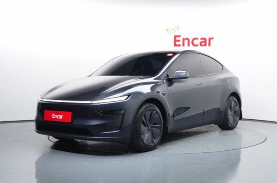 Tesla Model Y Long Range AWD — пробег 26 579 км — фото 1 из 5