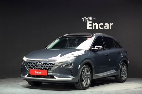 Hyundai Nexo Premium — пробег 57 924 км — фото 1 из 5