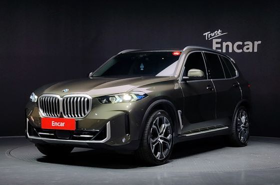 BMW X5 xDrive 40i xLine — пробег 27 439 км — фото 1 из 5