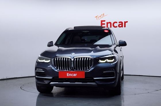 BMW X5 xDrive 30d xLine — пробег 80 713 км — фото 3 из 5
