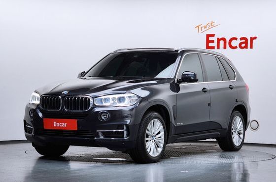 BMW X5 xDrive 30d — пробег 142 678 км — фото 1 из 5
