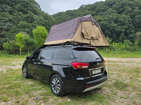 Kia Carnival 9-seater Luxury — пробег 220 000 км — фото 3 из 5