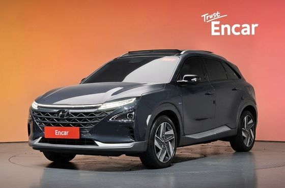 Hyundai Nexo Premium — пробег 37 000 км — фото 1 из 5