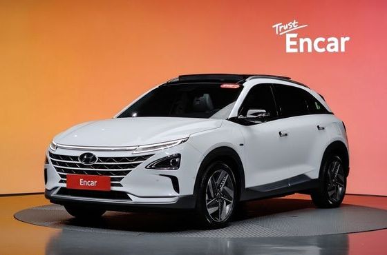 Hyundai Nexo Premium — пробег 39 764 км — фото 1 из 5