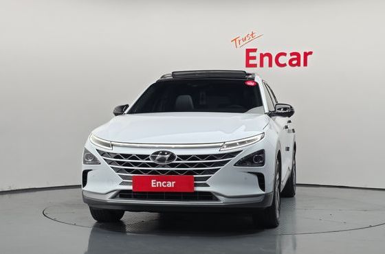 Hyundai Nexo Premium — пробег 77 106 км — фото 3 из 5