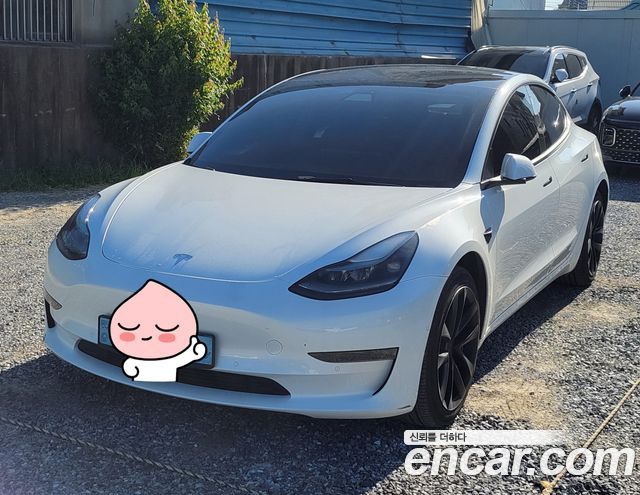 Tesla Model 3 Long Range AWD — пробег 70 000 км