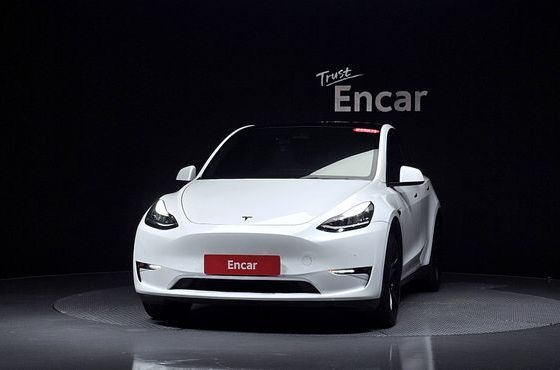 Tesla Model Y Long Range AWD — пробег 95 383 км — фото 3 из 5