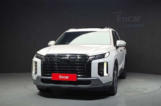 Hyundai Palisade Diesel 2.2 4WD Le Blanc — пробег 143 819 км — фото 3 из 5