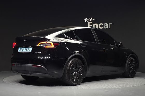 Tesla Model Y Long Range AWD — пробег 141 501 км — фото 2 из 5