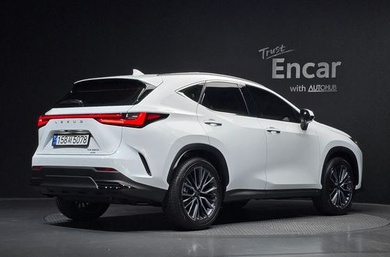 Lexus NX Luxury — пробег 9 км — фото 2 из 5