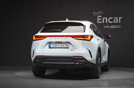 Lexus NX Luxury — пробег 9 км — фото 4 из 5