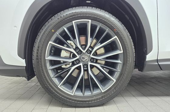 Lexus NX Luxury — пробег 9 км — фото 5 из 5
