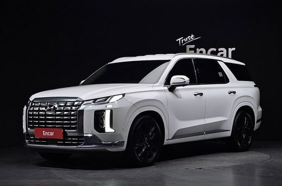 Hyundai Palisade Gasoline 3.8 4WD Calligraphy — пробег 20 126 км — фото 1 из 5