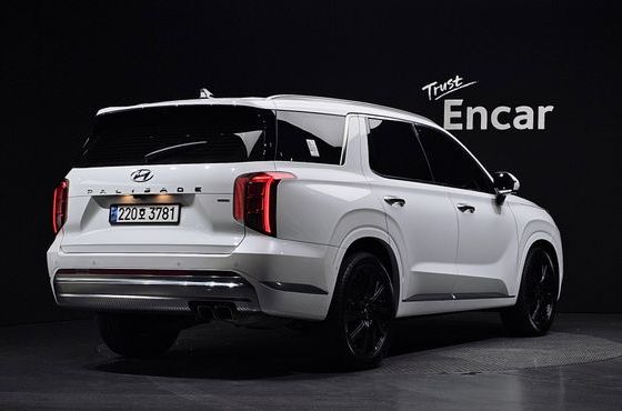 Hyundai Palisade Gasoline 3.8 4WD Calligraphy — пробег 20 126 км — фото 2 из 5