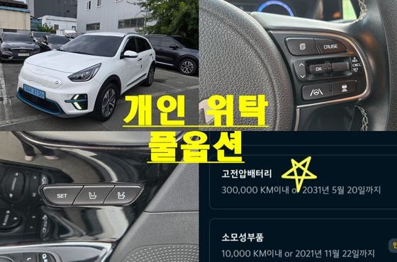 Kia Niro Taxi — пробег 265 758 км — фото 1 из 5
