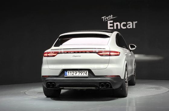 Porsche Cayenne 3.0 PLATINUM EDITION — пробег 45 453 км — фото 4 из 5