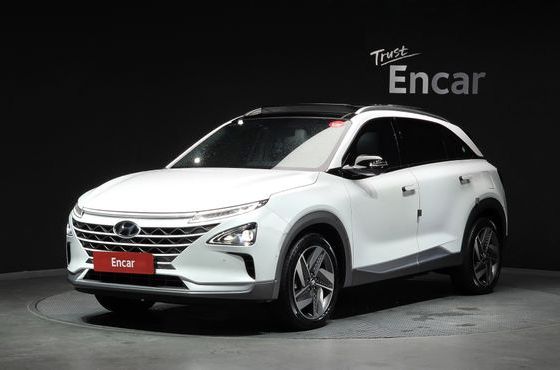 Hyundai Nexo Premium — пробег 36 816 км — фото 1 из 5