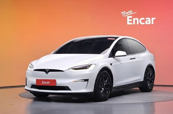 Tesla Model X Plaid — пробег 26 600 км — фото 1 из 5