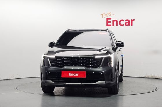 Kia Sorento HEV 1.6 2WD Gravity — пробег 18 389 км — фото 3 из 5