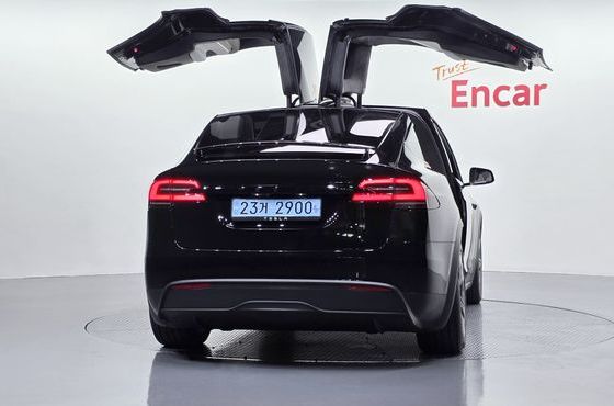 Tesla Model X AWD — пробег 3 939 км — фото 4 из 5