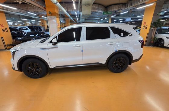 Kia Sorento HEV 1.6 2WD Signature — пробег 300 км — фото 2 из 5