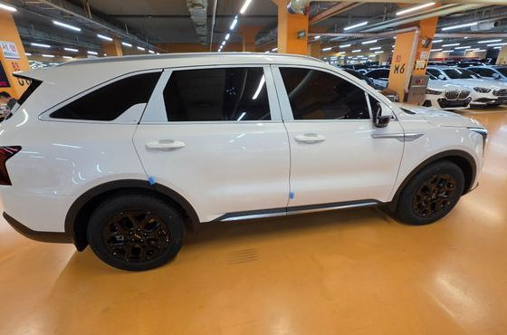 Kia Sorento HEV 1.6 2WD Signature — пробег 300 км — фото 4 из 5