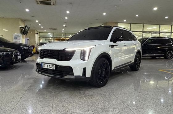 Kia Sorento Gasoline 2.5T 2WD Gravity — пробег 37 503 км — фото 1 из 5
