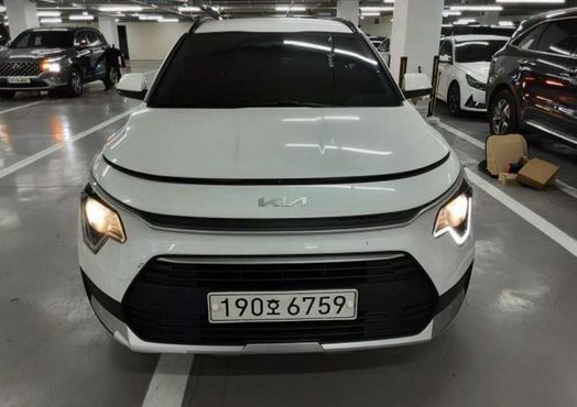 Kia Niro Trendy — пробег 213 639 км — фото 1 из 5