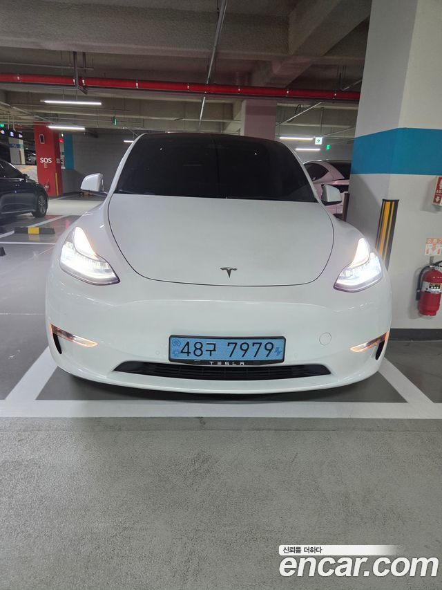 Tesla Model Y из Кореи Encar